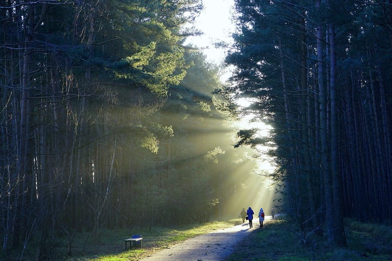 Intentional Walking